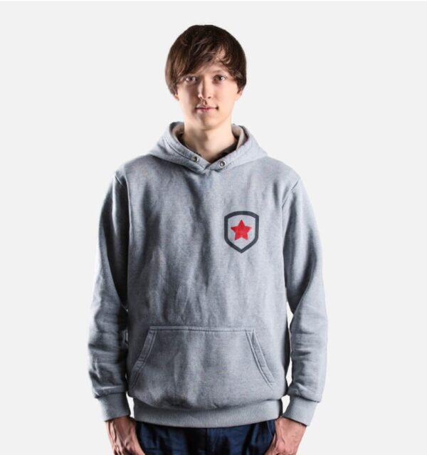 Hoodie Collection